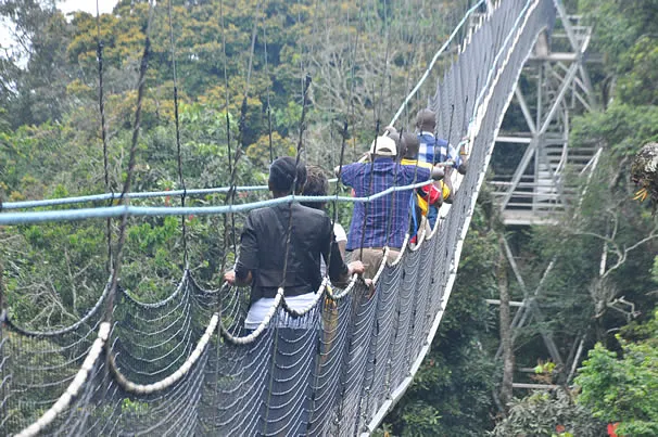 2 Days Nyungwe Experience